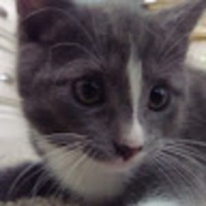 Meet your Posher, Katherine